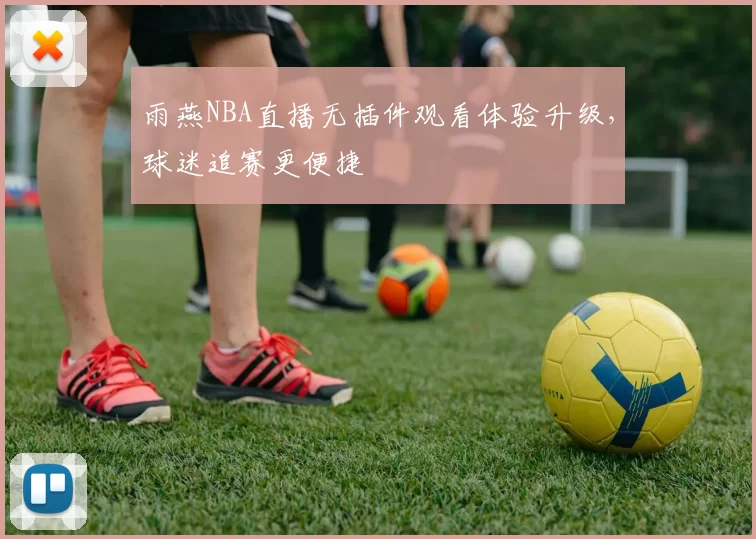 雨燕NBA直播无插件观看体验升级，球迷追赛更便捷
