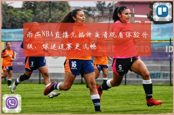 雨燕NBA直播无插件高清观看体验升级，球迷追赛更流畅