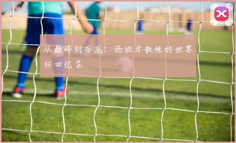 从巅峰到谷底：西班牙教练的世界杯回忆录