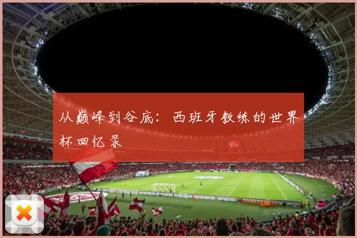 从巅峰到谷底：西班牙教练的世界杯回忆录