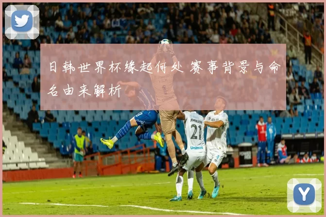日韩世界杯缘起何处 赛事背景与命名由来解析