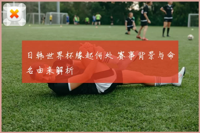 日韩世界杯缘起何处 赛事背景与命名由来解析