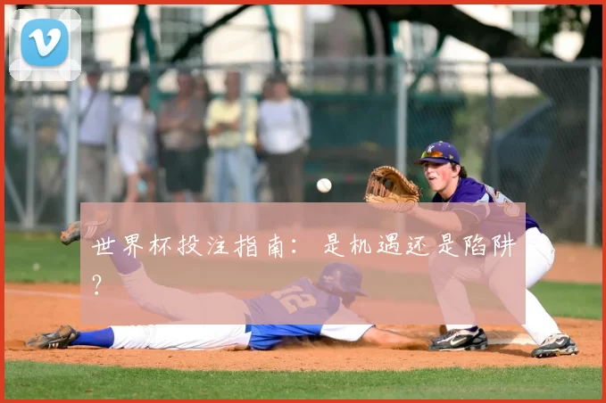 世界杯投注指南：是机遇还是陷阱？
