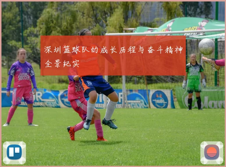 深圳篮球队的成长历程与奋斗精神全景纪实