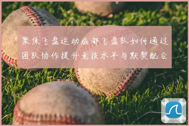聚焦飞盘运动成都飞盘队如何通过团队协作提升竞技水平与默契配合